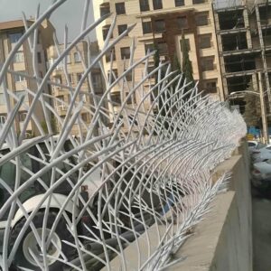 حفاظ شاخ گوزنی چیست