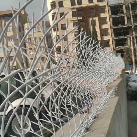 حفاظ شاخ گوزنی چیست