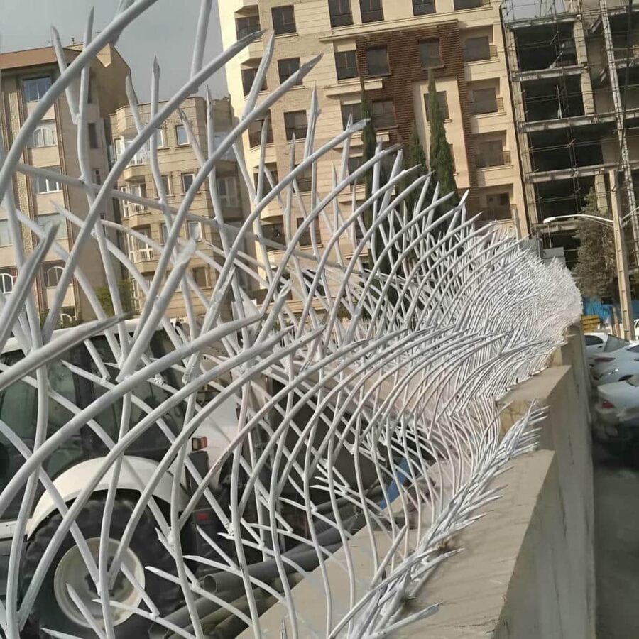 حفاظ شاخ گوزنی چیست