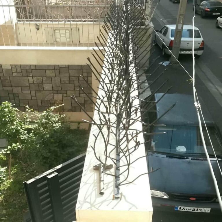 مشاهده عکس مدل های متنوع حفاظ شاخ گوزنی