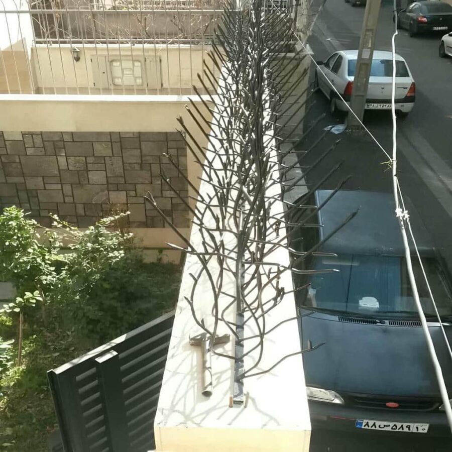 مشاهده عکس مدل های متنوع حفاظ شاخ گوزنی