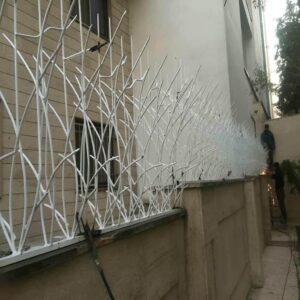 راهنمای خرید حفاظ شاخ گوزنی