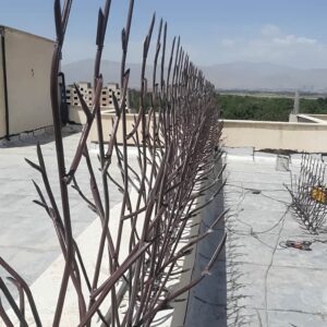 حفاظ شاخ گوزنی تراکم 31 دیواری: امنیت بالا و قیمت اقتصادی