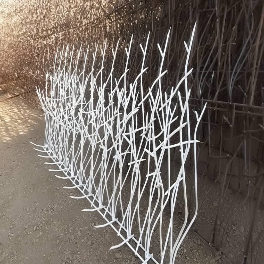 نصب حفاظ شاخ گوزنی حیاط خانه در آبسرد