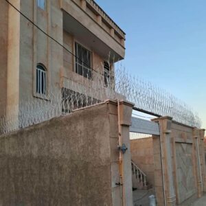 حفاظ شاخ گوزنی در کمال شهر