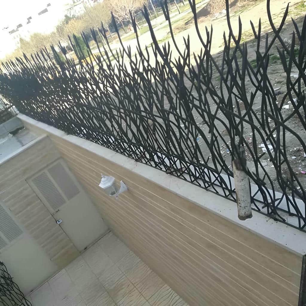 حفاظ شاخ گوزنی در دماوند
