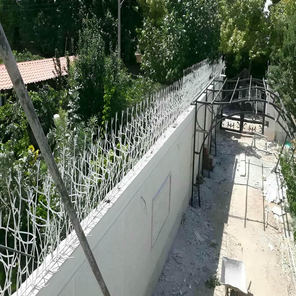 خرید حفاظ شاخ گوزنی دیوار ویلا در کردان
