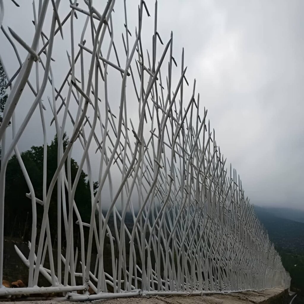 حفاظ شاخ گوزنی در استان گلستان