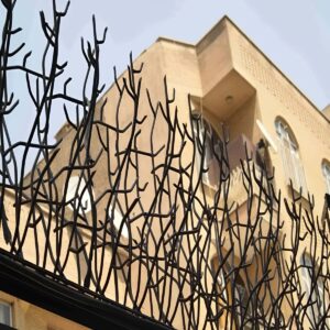 حفاظ شاخ گوزنی در بومهن