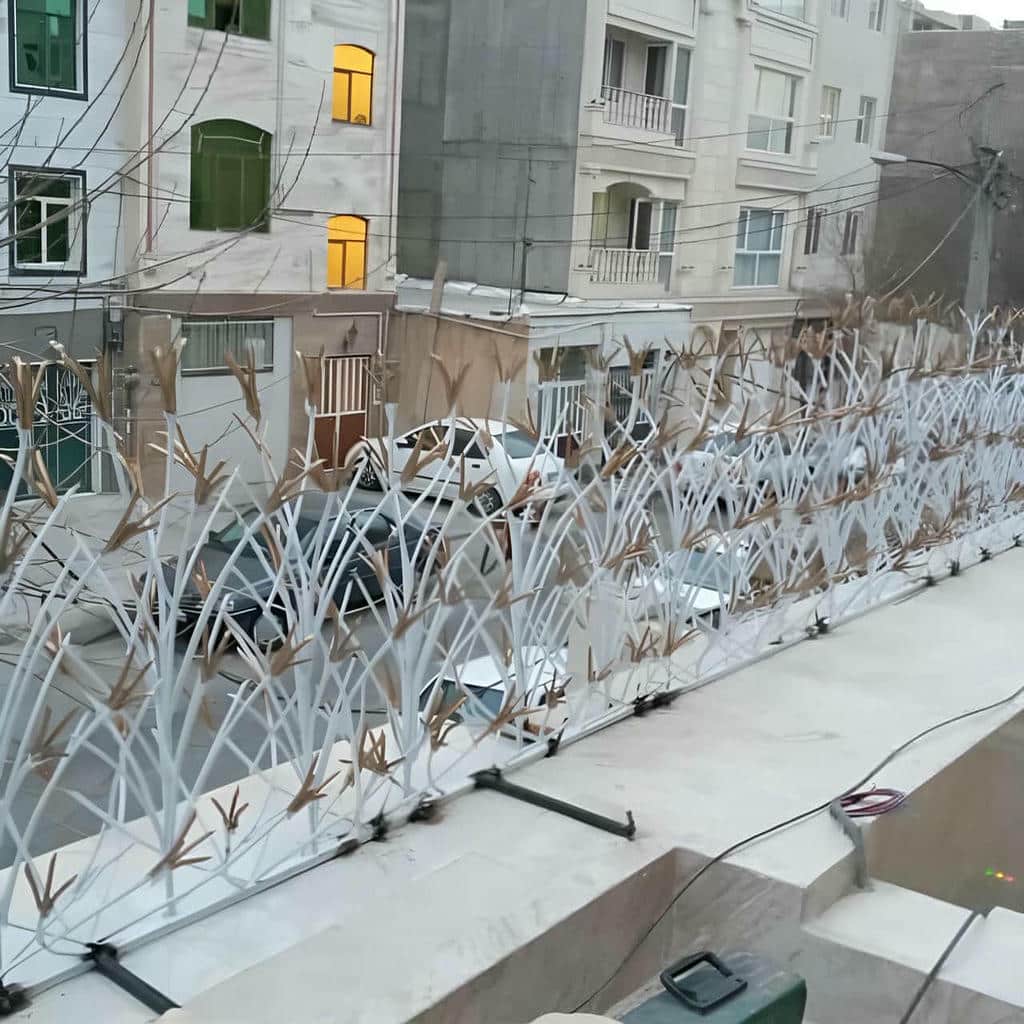 قیمت حفاظ شاخ گوزنی باغ ویلا در نسیم شهر