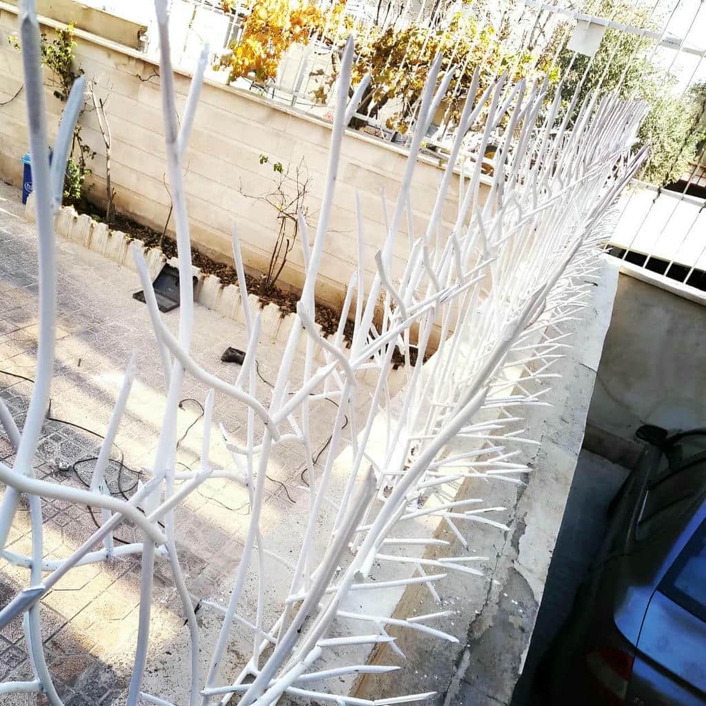 قیمت حفاظ شاخ گوزنی باغ ویلا در شهرکرد