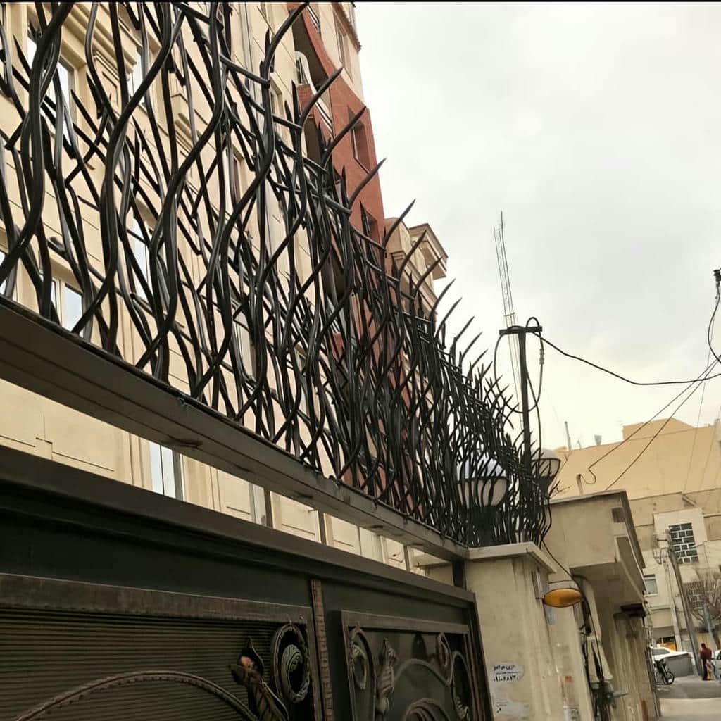 حفاظ شاخ گوزنی در زاهدان