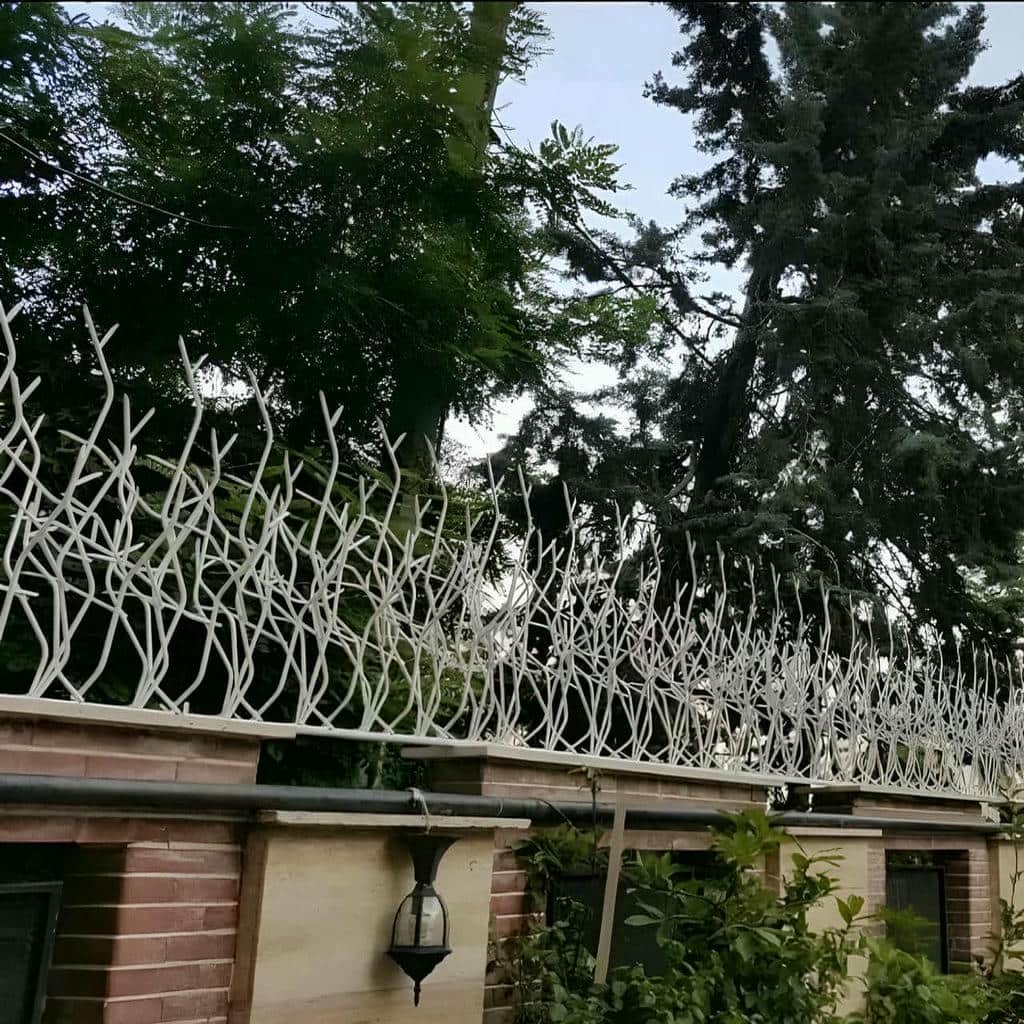 حفاظ شاخ گوزنی در پردیس
