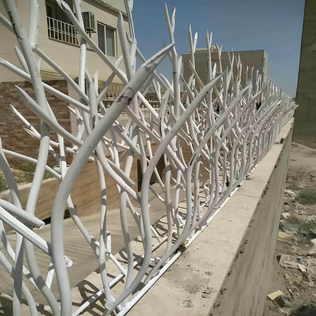 حفاظ شاخ گوزنی در اصفهان