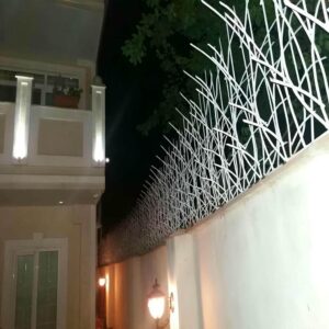 حفاظ شاخ گوزنی در محمدشهر