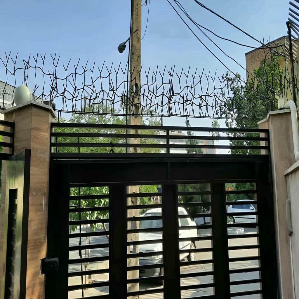 حفاظ شاخ گوزنی در آبسرد