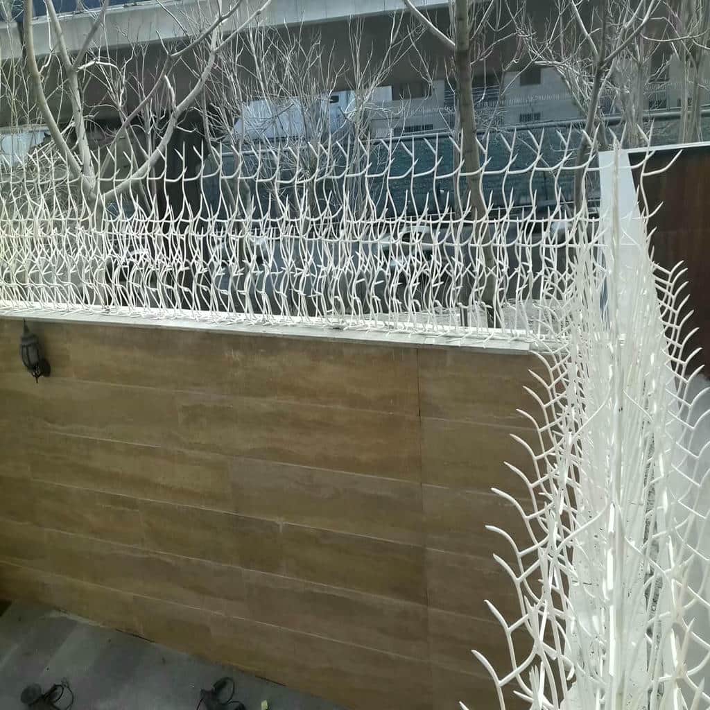 حفاظ شاخ گوزنی در قم