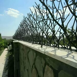 حفاظ شاخ گوزنی در بندر دیلم