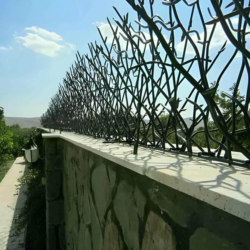 حفاظ شاخ گوزنی در بندر دیلم