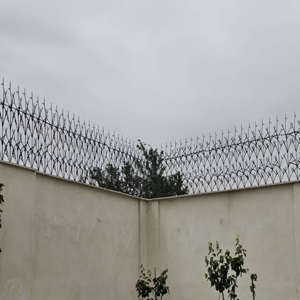 قیمت حفاظ شاخ گوزنی مدرن در بومهن
