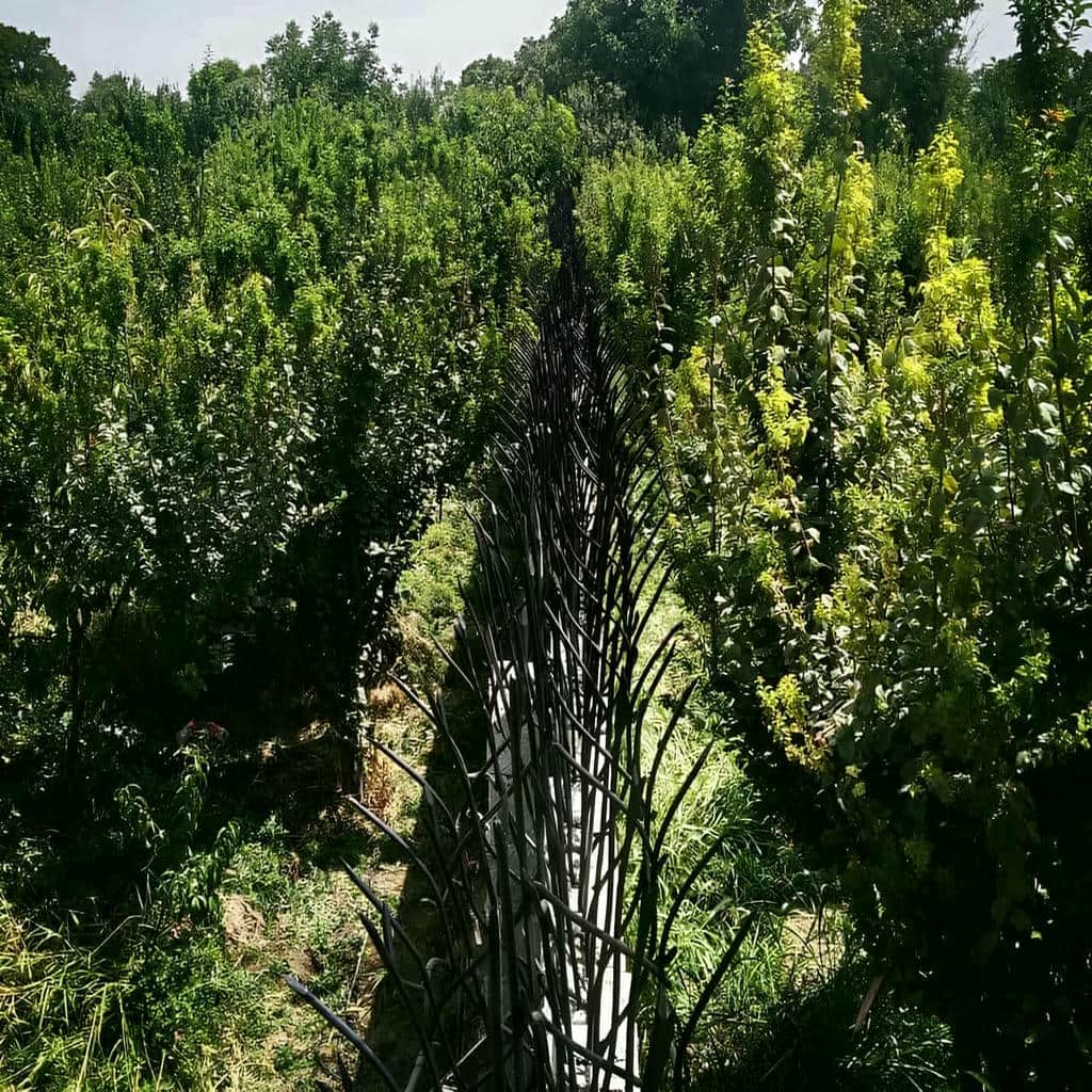 نصب حفاظ شاخ گوزنی حیاط خانه در آمل