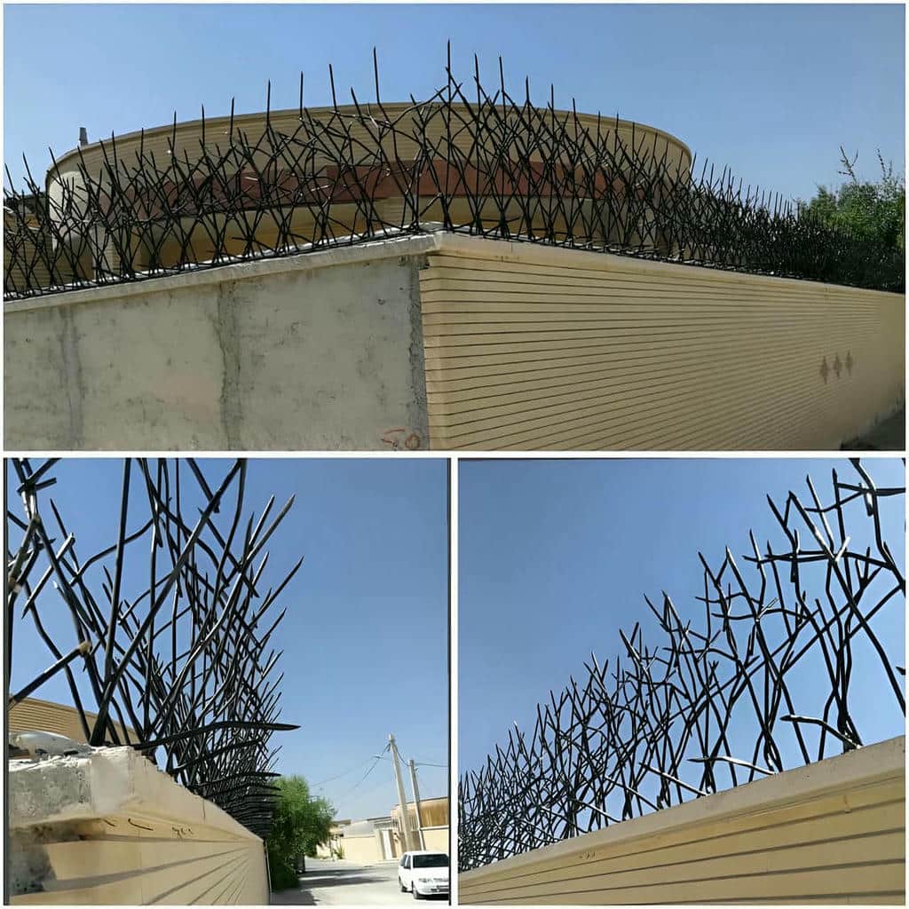 نصب حفاظ شاخ گوزنی دیوار ویلا در بندر چابهار