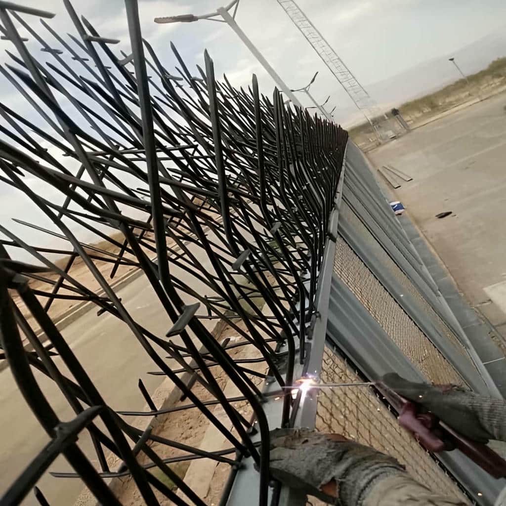 قیمت حفاظ شاخ گوزنی مدرن در بوشهر