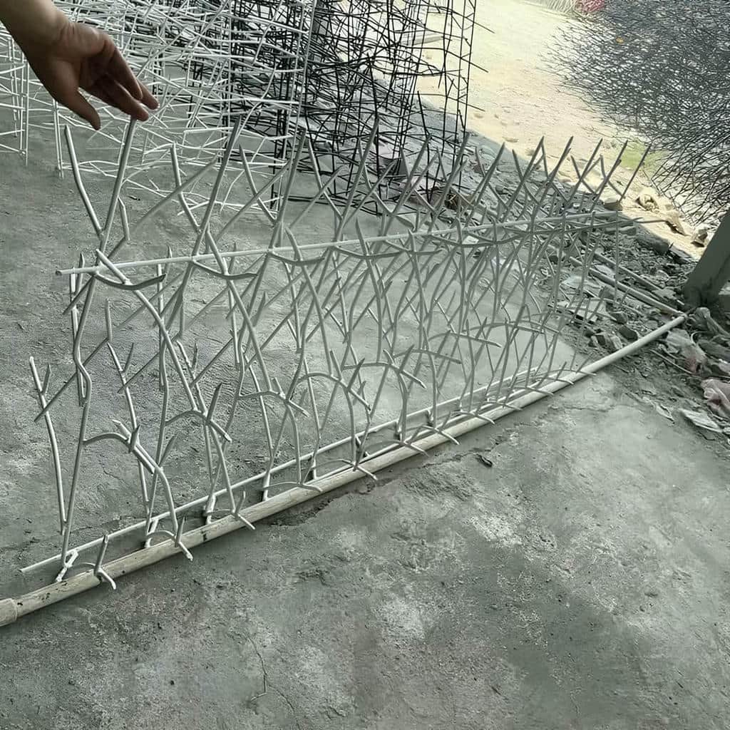 حفاظ شاخ گوزنی در بوشهر