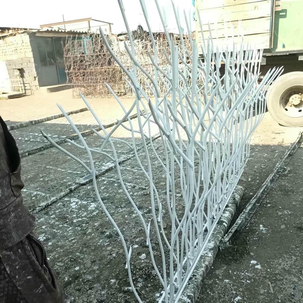 خرید حفاظ شاخ گوزنی کلاسیک در طالقان