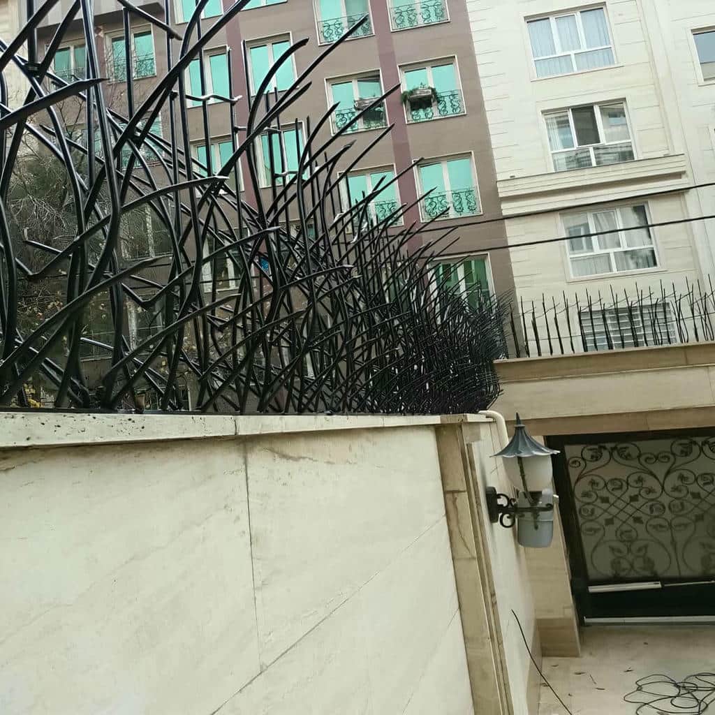 قیمت حفاظ شاخ گوزنی مدرن در قشم