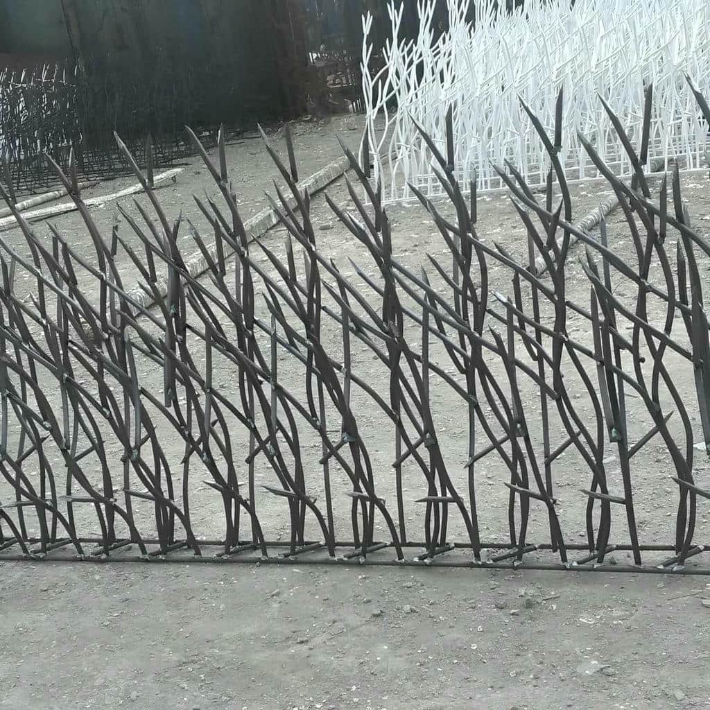 حفاظ شاخ گوزنی در تهران