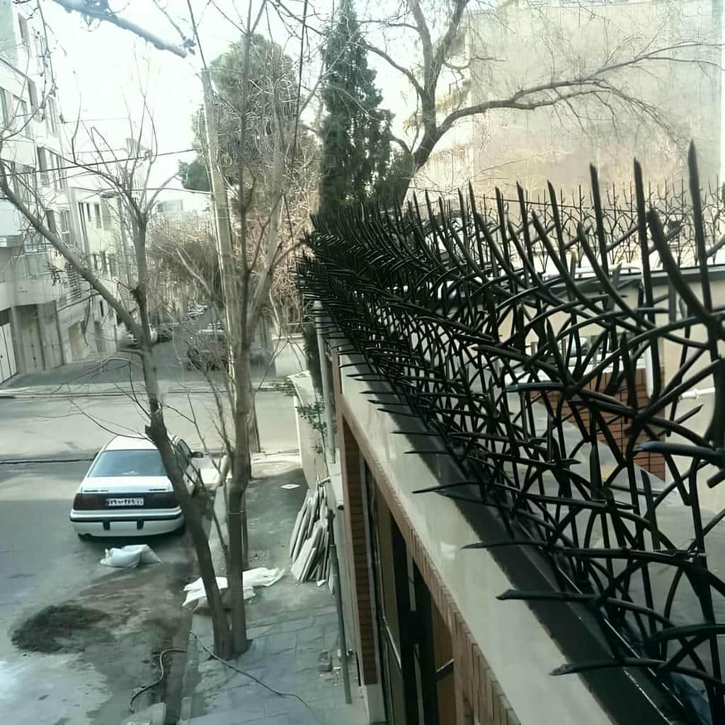 قیمت حفاظ شاخ گوزنی مدرن در کمال شهر