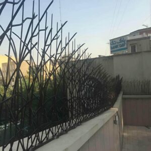 حفاظ شاخ گوزنی در استان مازندران