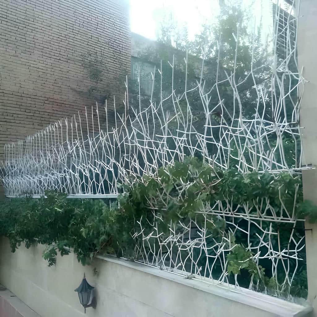 قیمت حفاظ شاخ گوزنی باغ ویلا در بیرجند