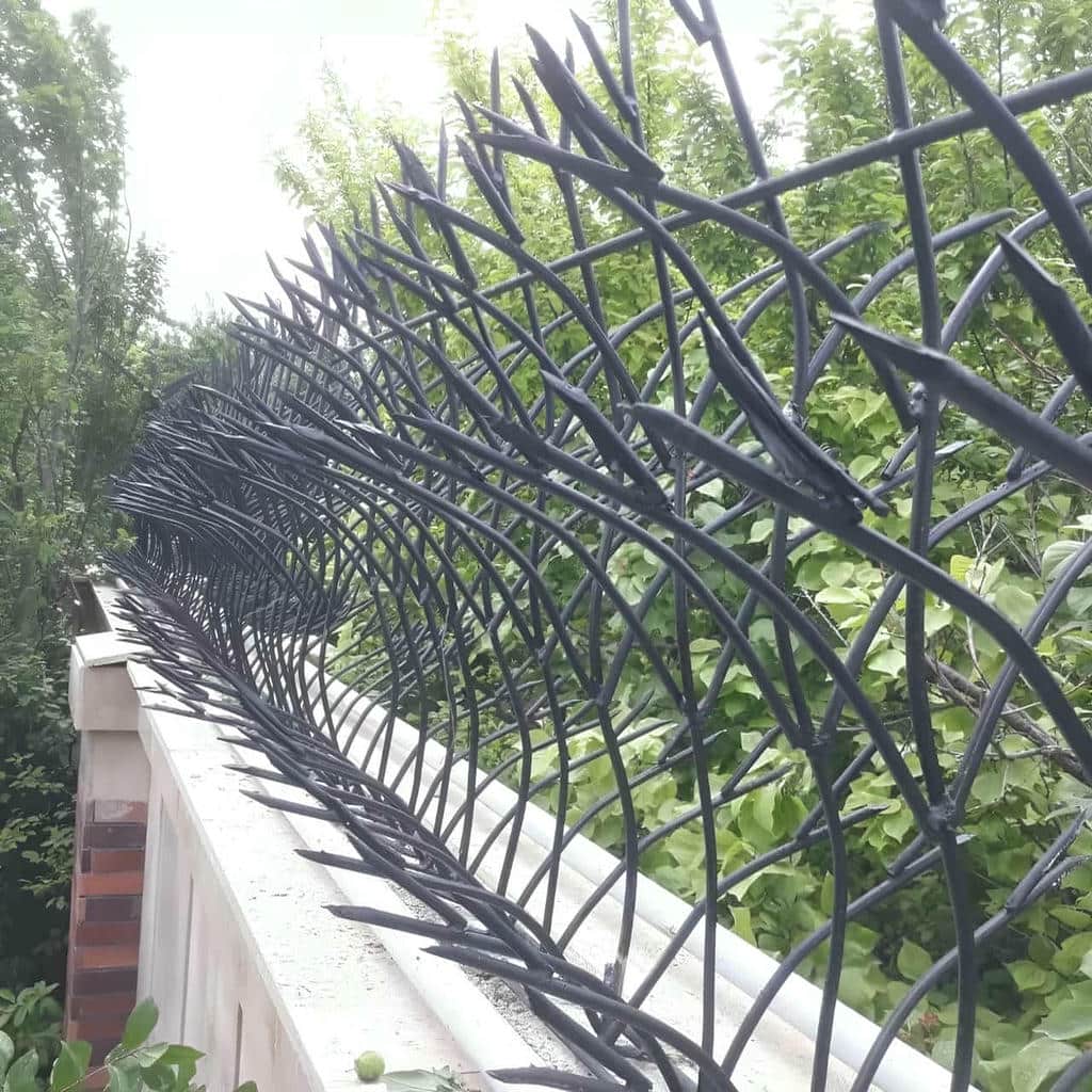 قیمت حفاظ شاخ گوزنی باغ ویلا در ملارد