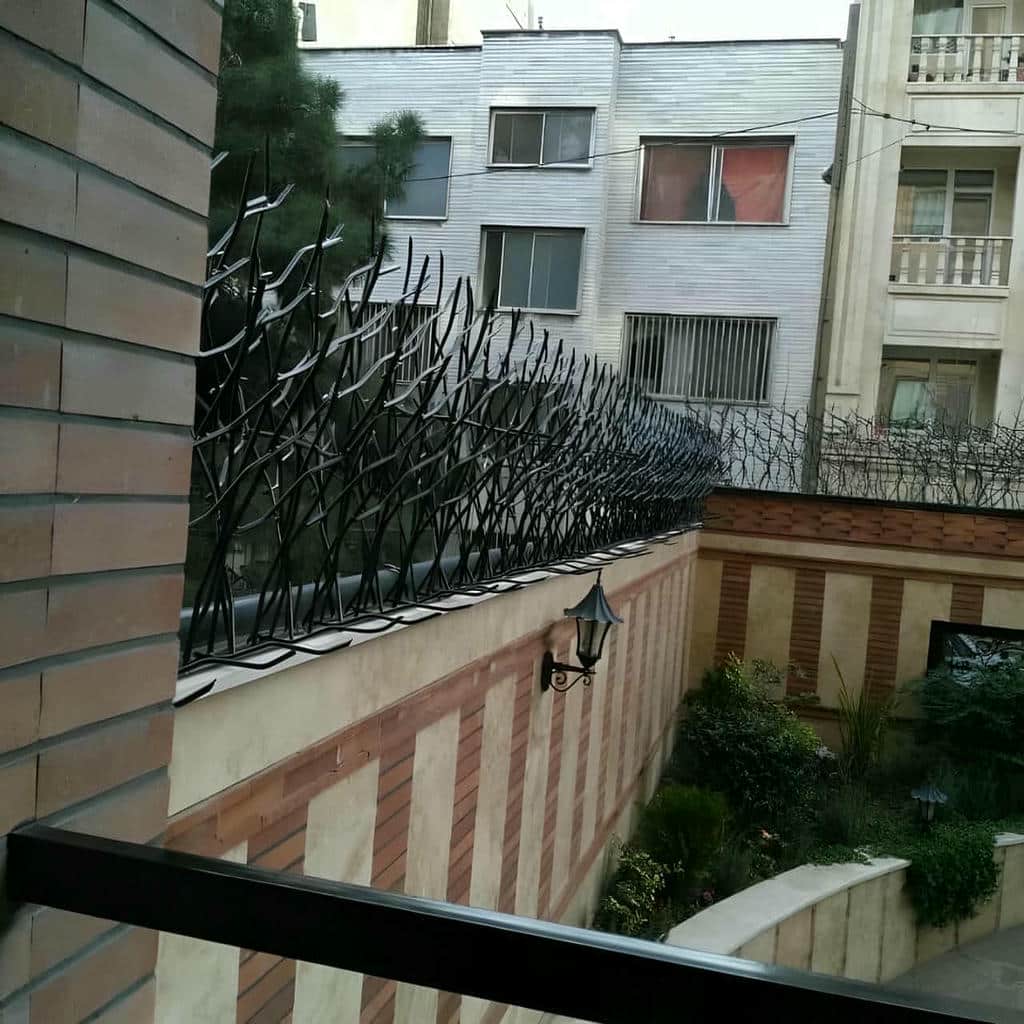 خرید حفاظ شاخ گوزنی کلاسیک در باغ عباس‌آباد