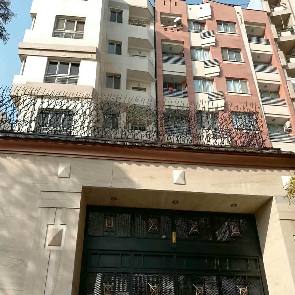 نصب حفاظ شاخ گوزنی حیاط خانه در تهران