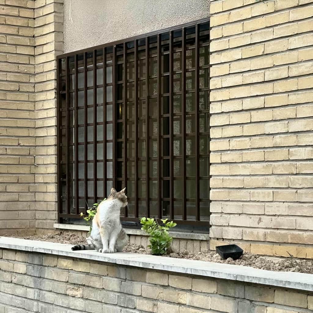 قیمت حفاظ پنجره ویلایی فرفورژه در آبادان
