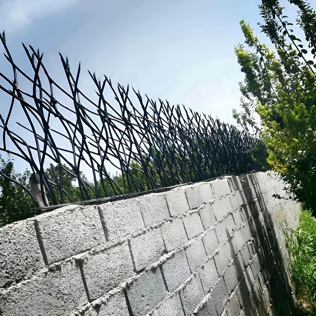 حفاظ شاخ گوزنی با ارتفاع متناسب دیوار