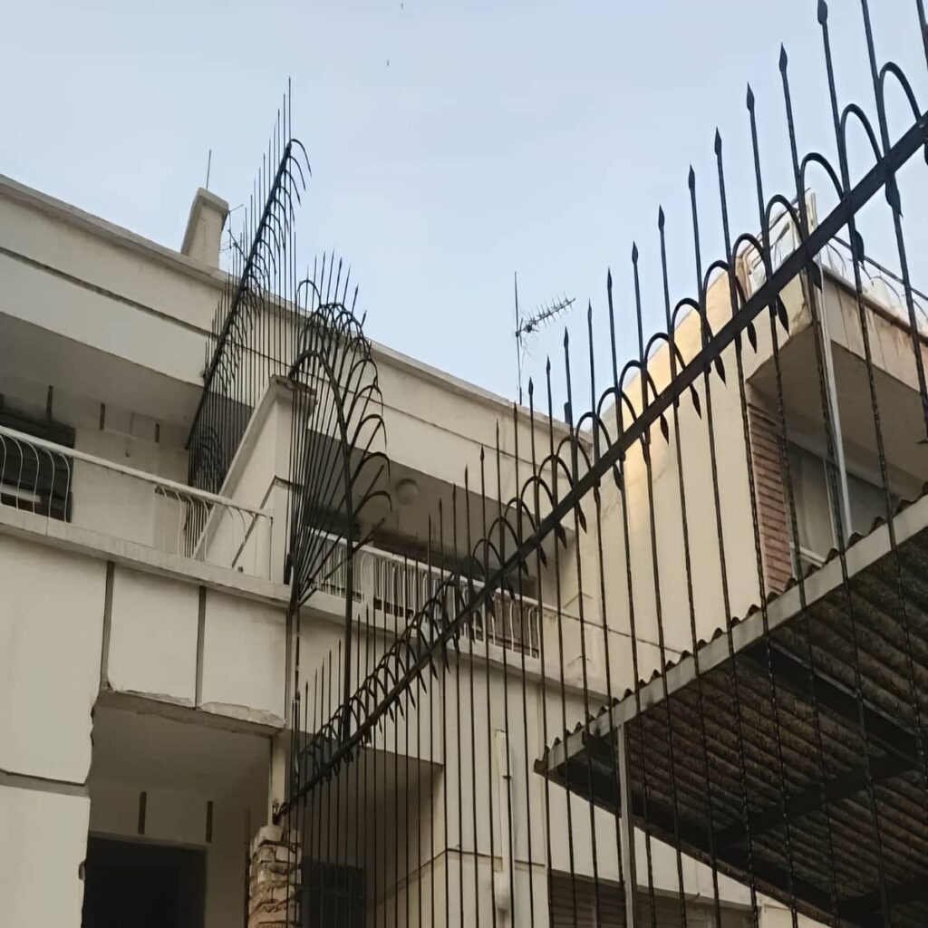 حفاظ سرنیزه ای با نوک های تیز بازدارنده