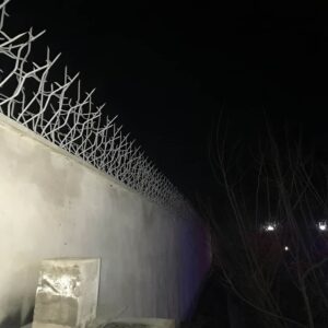 حفاظ شاخ گوزنی خاردار برای ایمن سازی دیوار