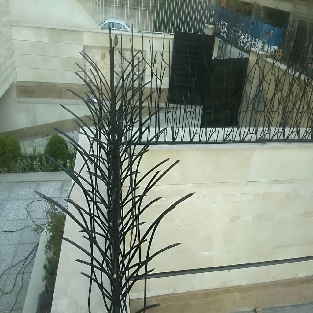 حفاظ دیوار با شاخه نیزاری