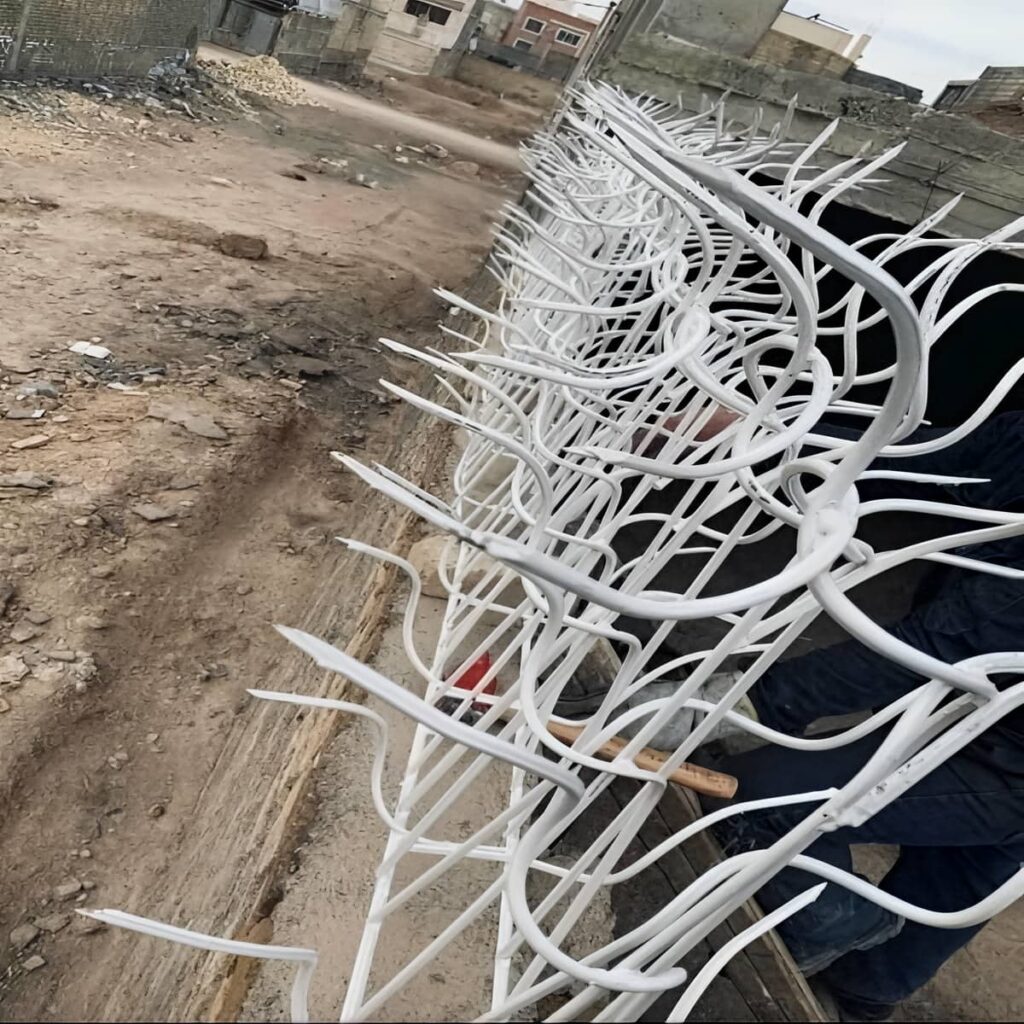 حفاظ شاخ گوزنی رنگ شده