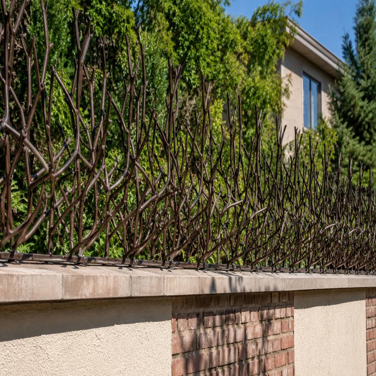 حفاظ دیوار در بوشهر با مدل شاخ گوزنی مشکی