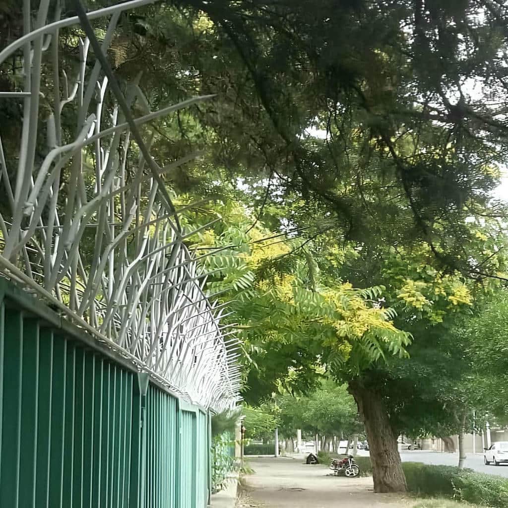 حفاظ دیوار سرنیزه ای با پوشش مشکی