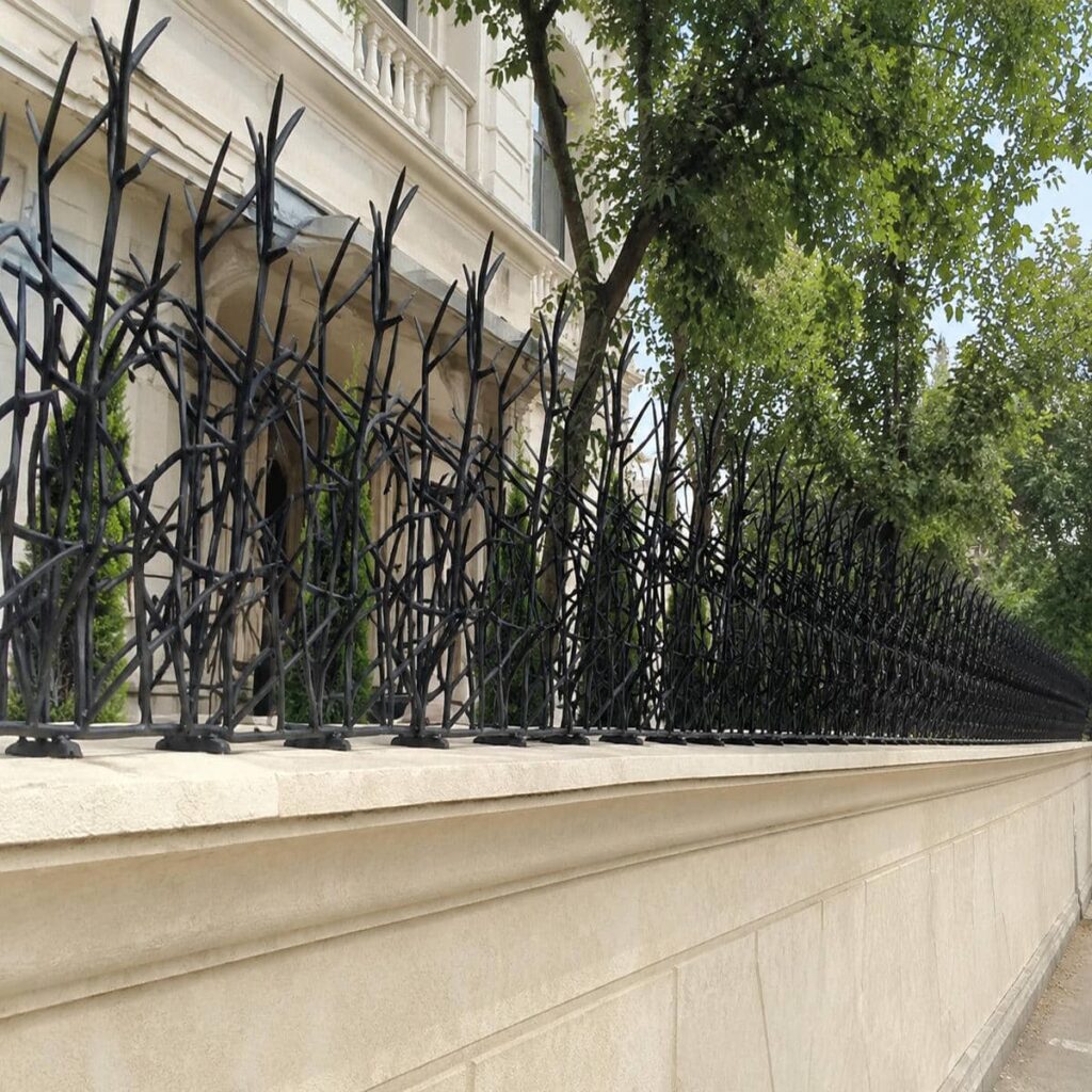حفاظ دیوار شاخ گوزنی در استان چهارمحال و بختیاری