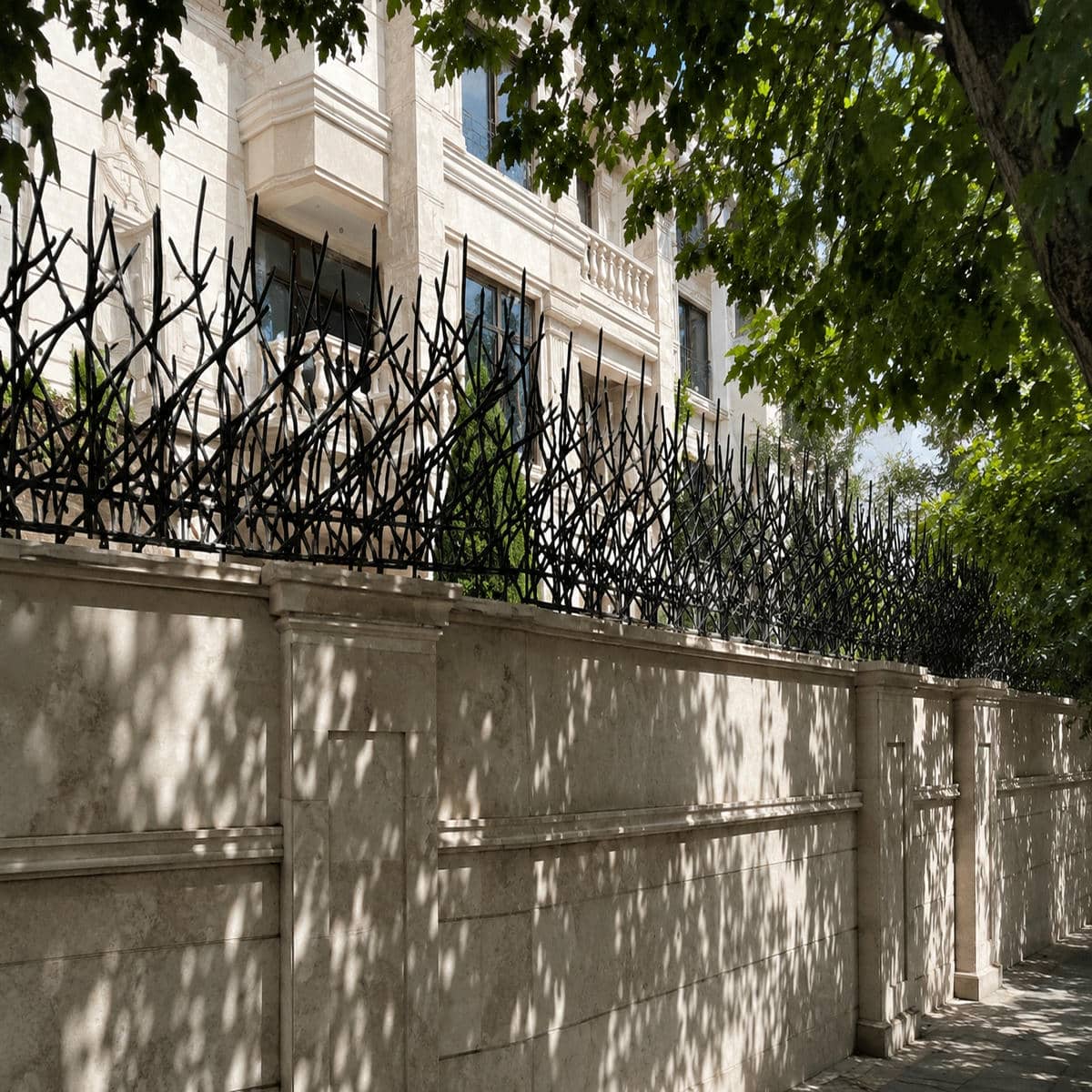 حفاظ دیوار شاخ گوزنی در بیرجند