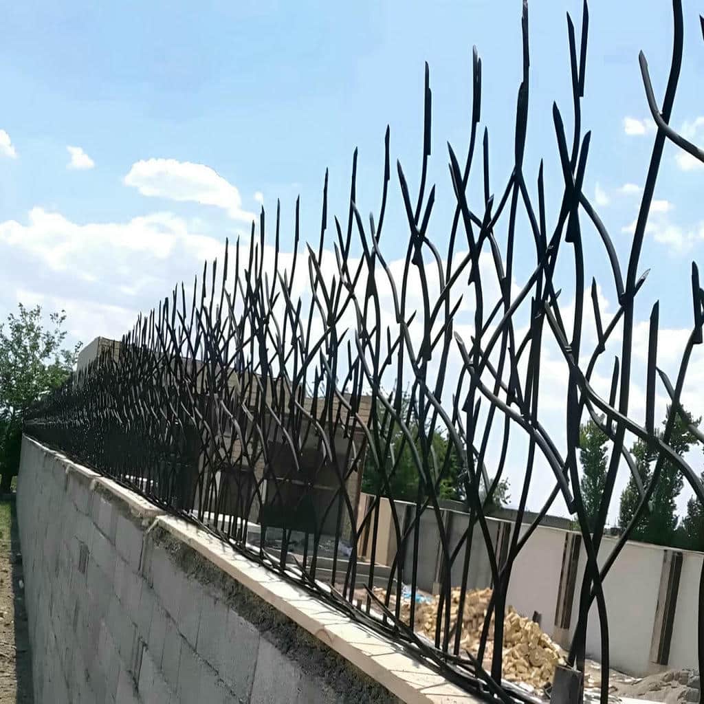 حفاظ دیوار شاخ گوزنی در خرم آباد