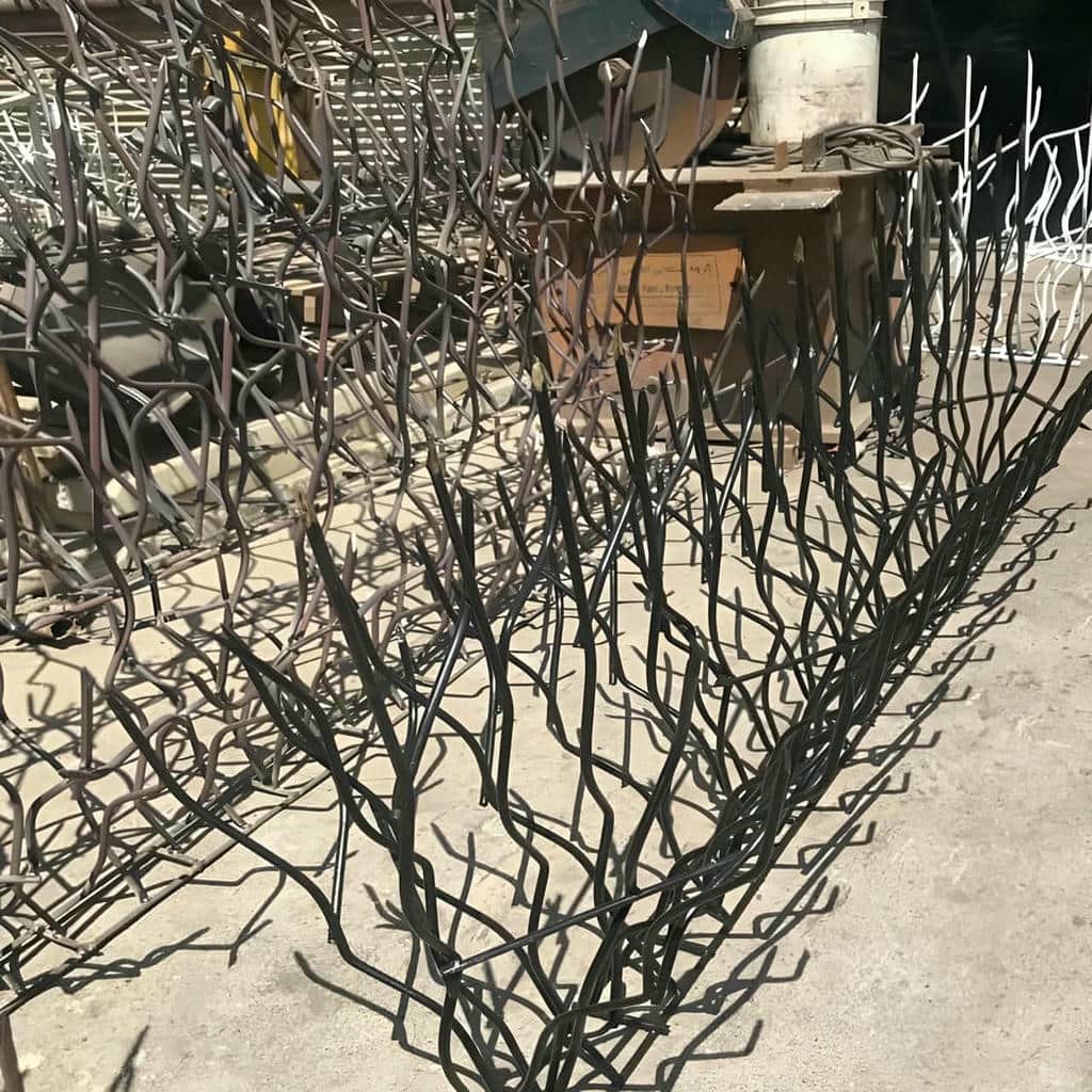 حفاظ دیوار شاخ گوزنی مشکی در استان خراسان رضوی