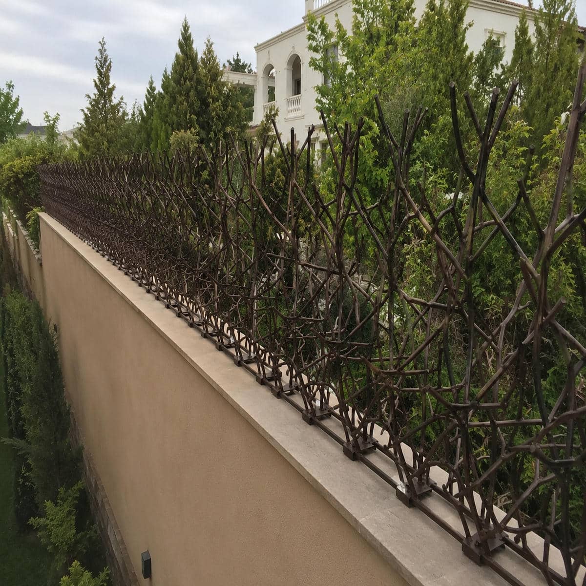 حفاظ دیوار شاخ گوزنی مشکی در کرج